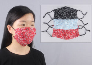 Filter Fabric Mask, Paisley (Use Drop Down Menu For Color Choices)